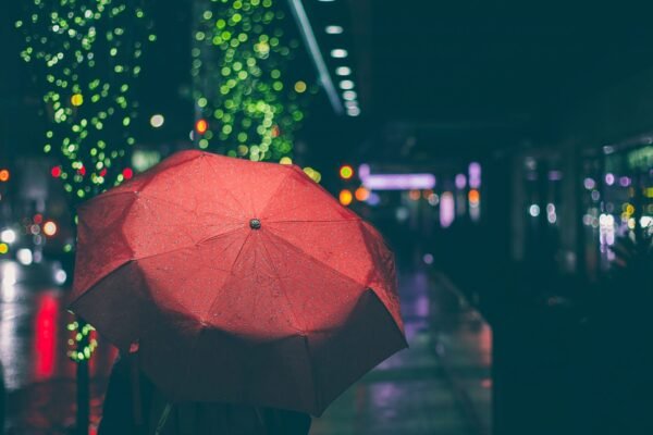 Umbrella
